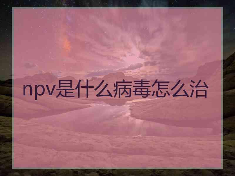 npv是什么病毒怎么治