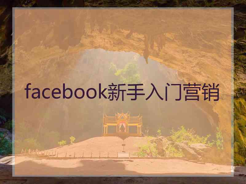 facebook新手入门营销