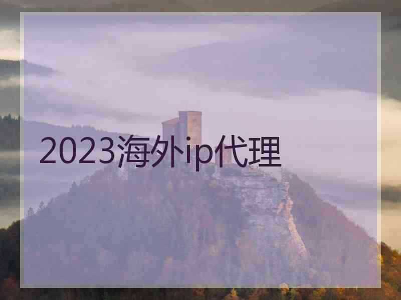 2023海外ip代理