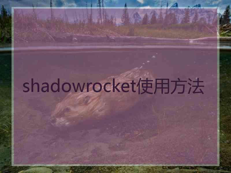 shadowrocket使用方法