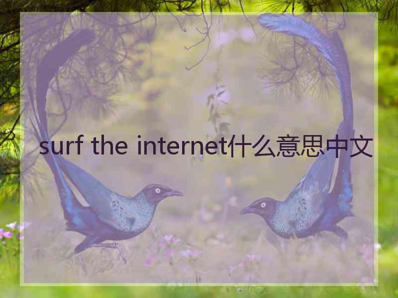 surf the internet什么意思中文