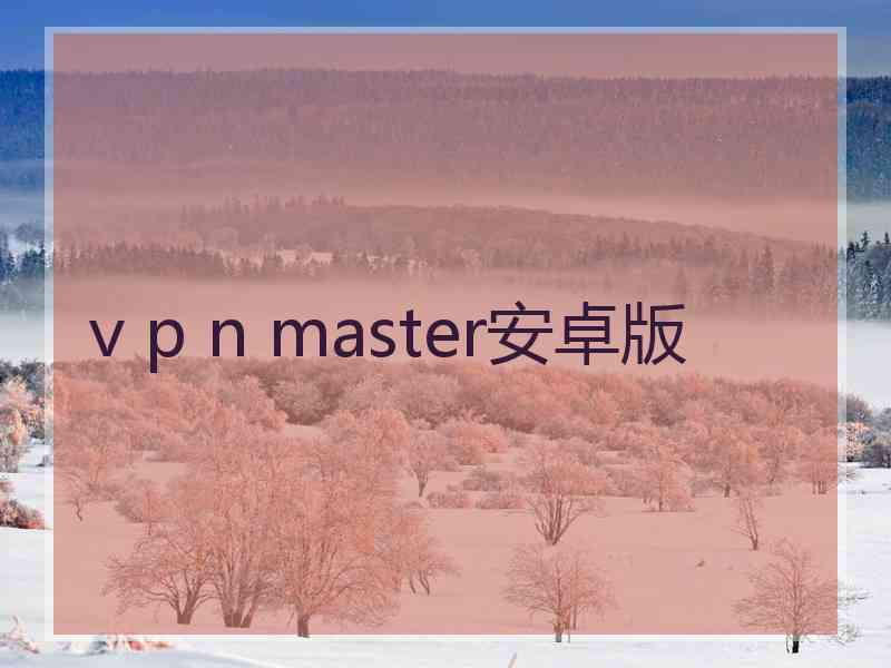 v p n master安卓版