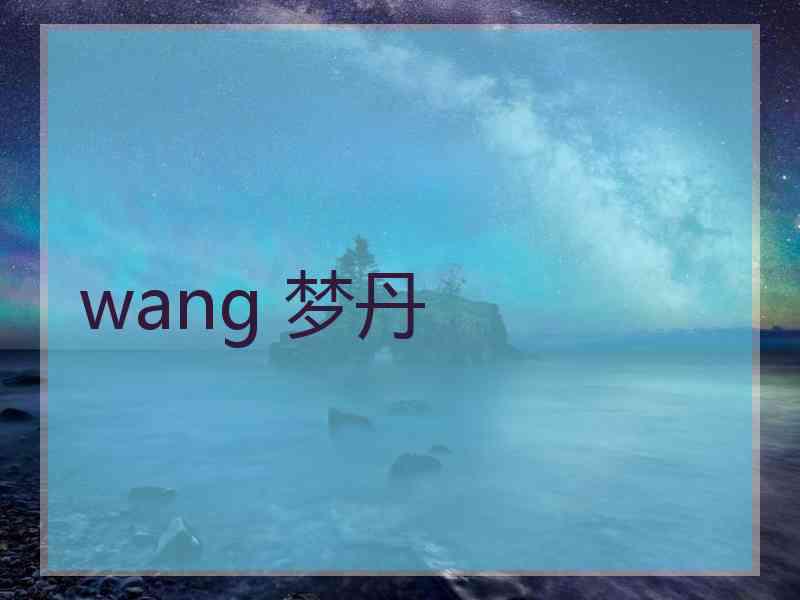 wang 梦丹