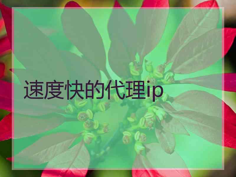 速度快的代理ip