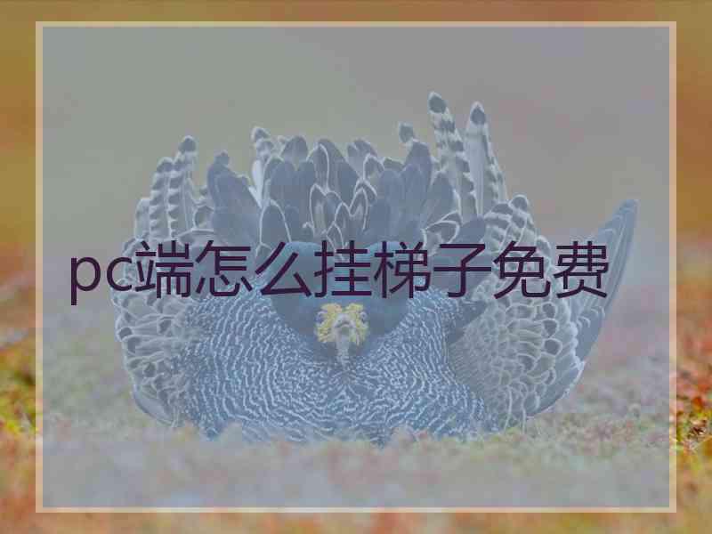 pc端怎么挂梯子免费