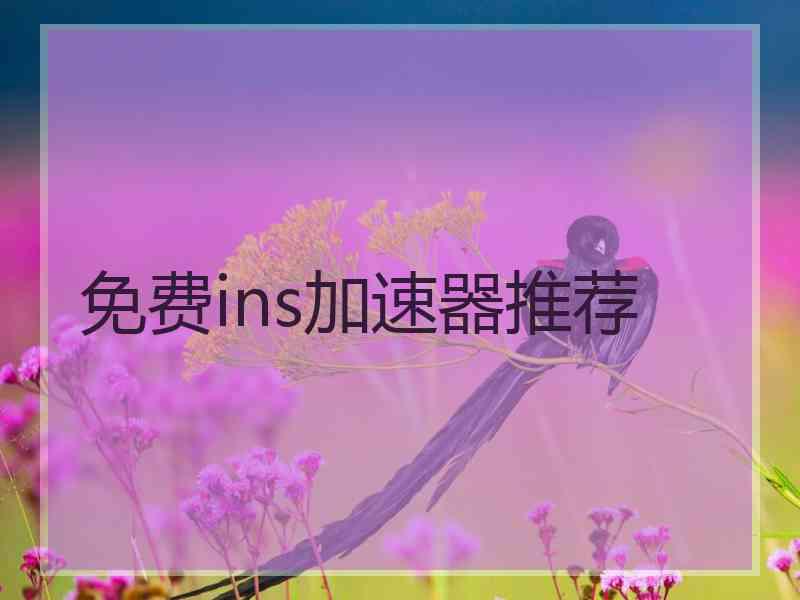 免费ins加速器推荐