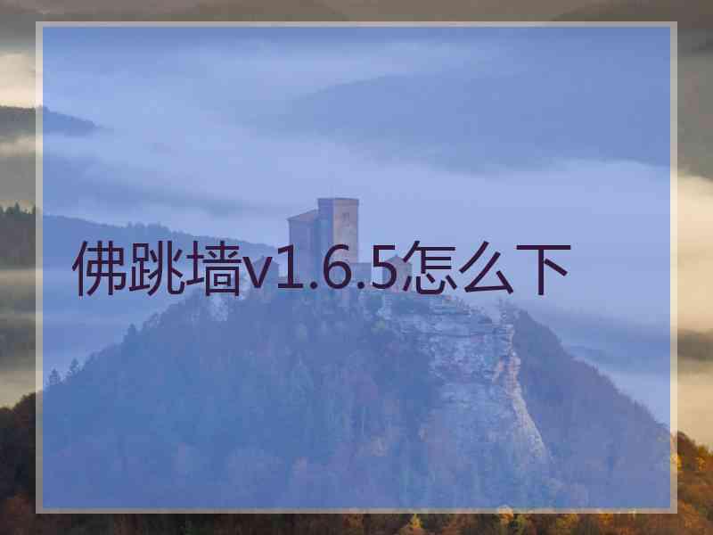 佛跳墙v1.6.5怎么下