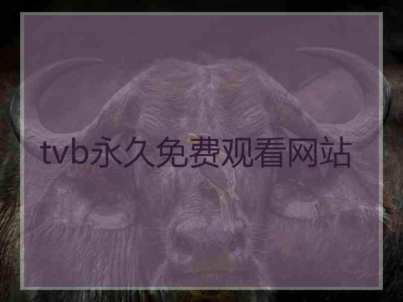 tvb永久免费观看网站