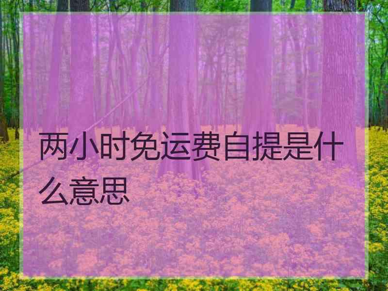 两小时免运费自提是什么意思