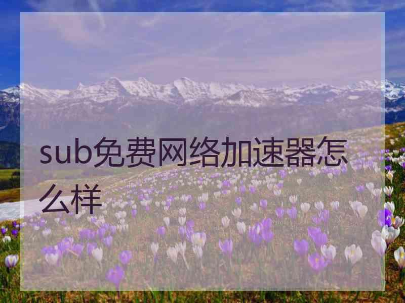 sub免费网络加速器怎么样