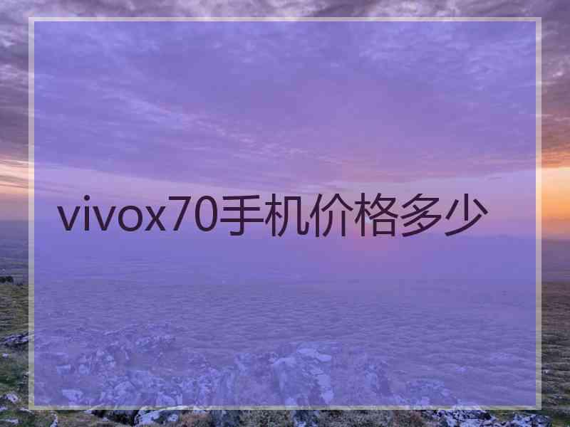 vivox70手机价格多少