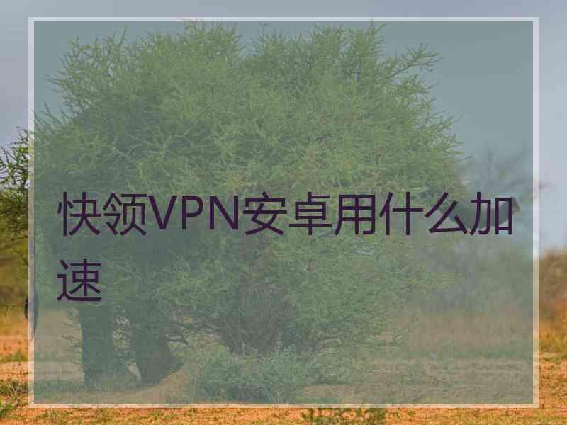 快领VPN安卓用什么加速