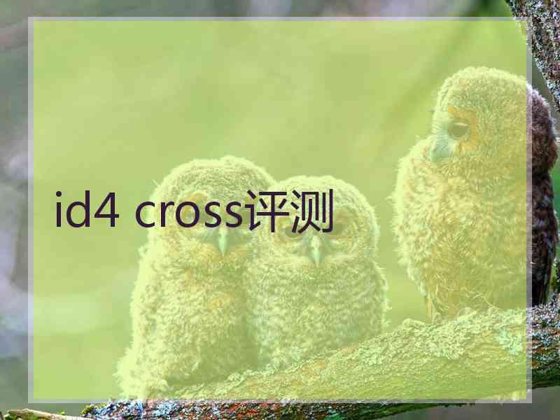 id4 cross评测