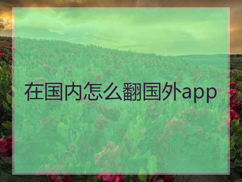 在国内怎么翻国外app