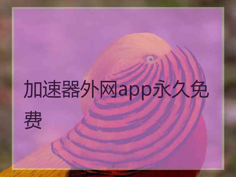 加速器外网app永久免费