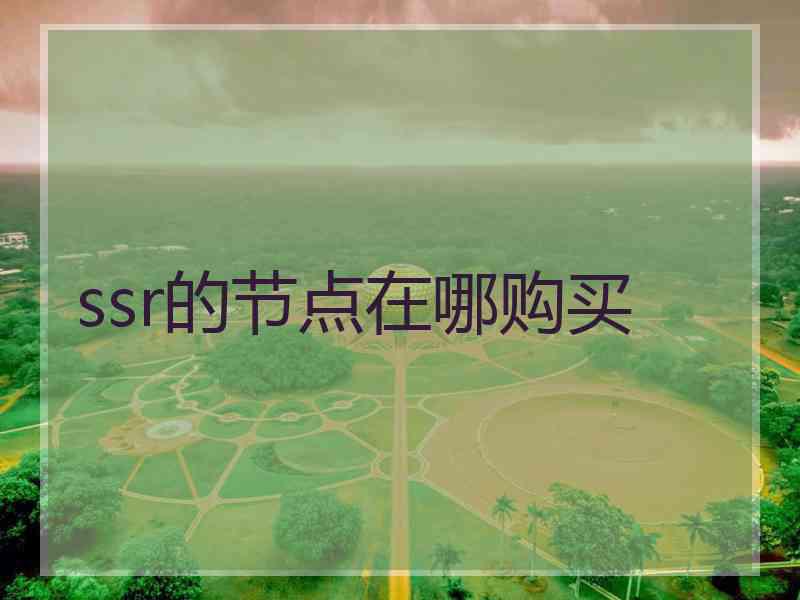 ssr的节点在哪购买