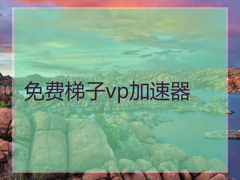 免费梯子vp加速器