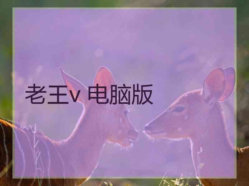 老王v 电脑版