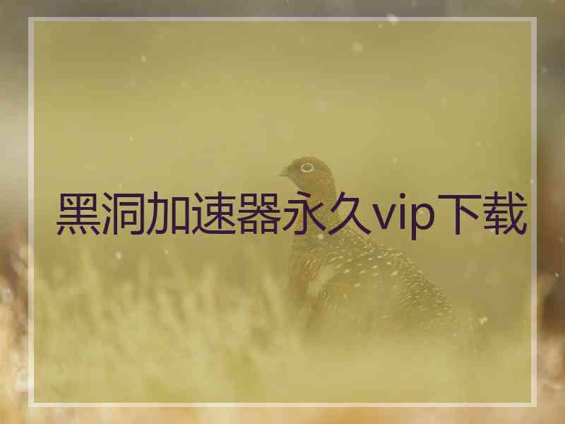 黑洞加速器永久vip下载