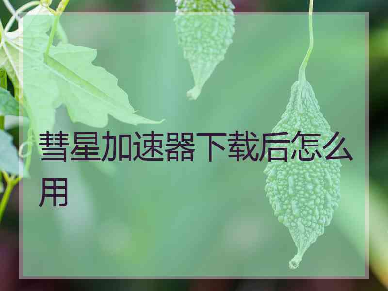 彗星加速器下载后怎么用