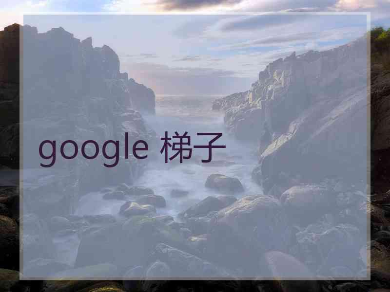 google 梯子