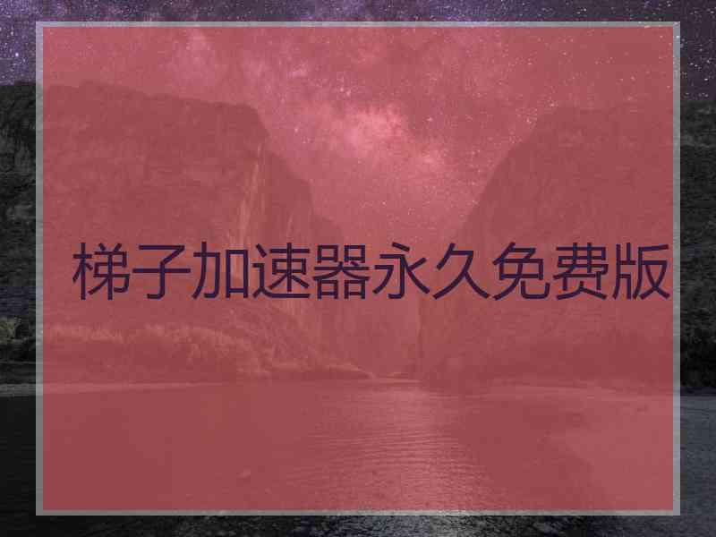 梯子加速器永久免费版