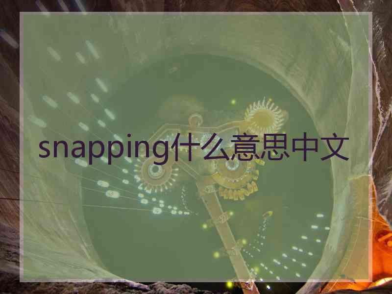 snapping什么意思中文