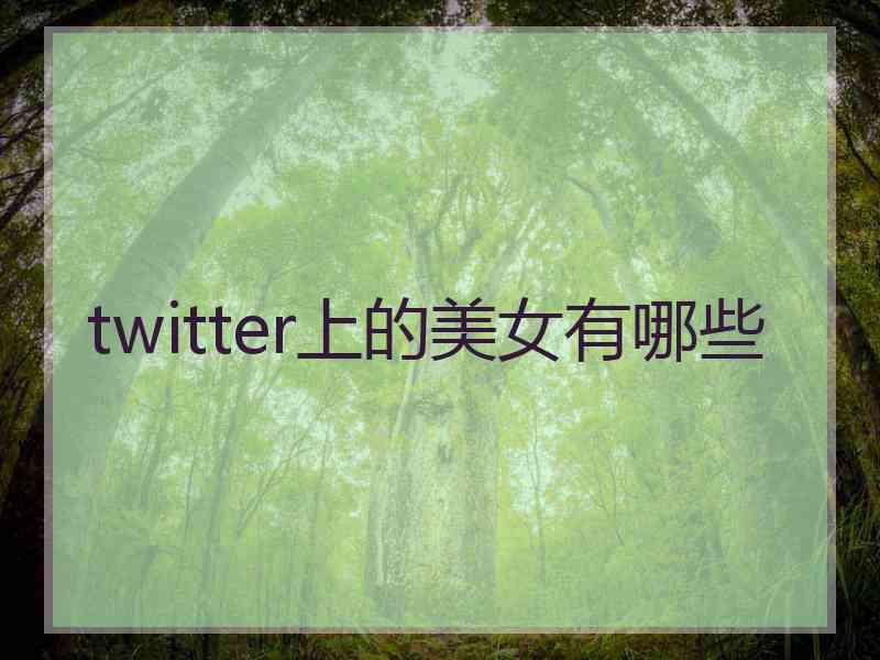 twitter上的美女有哪些