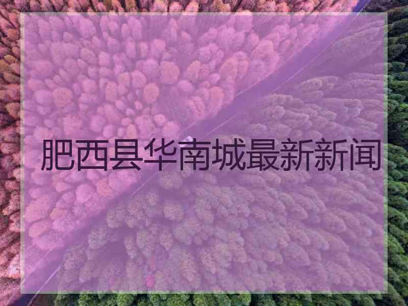 肥西县华南城最新新闻