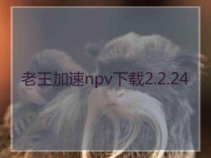 老王加速npv下载2.2.24