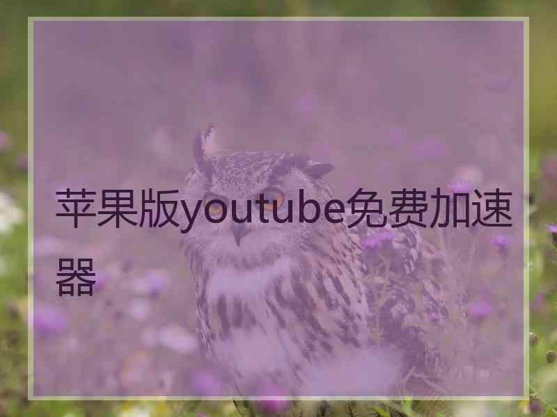 苹果版youtube免费加速器