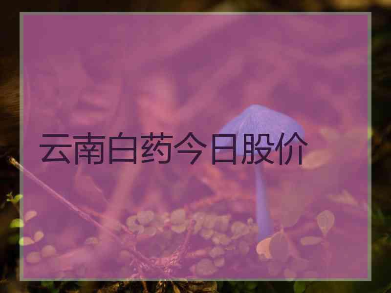 云南白药今日股价