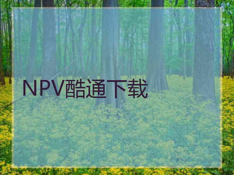 NPV酷通下载