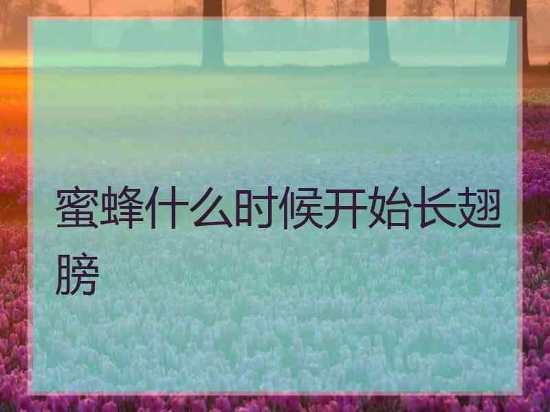 蜜蜂什么时候开始长翅膀