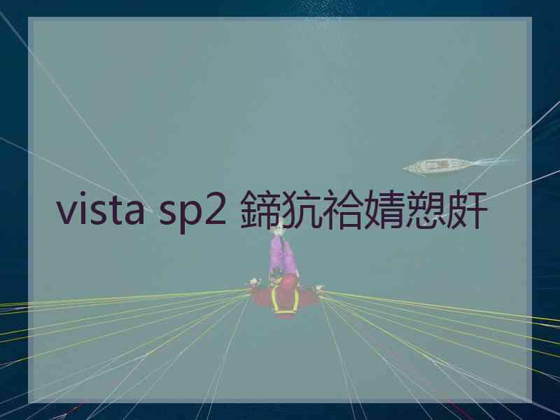 vista sp2 鍗犺祫婧愬皯