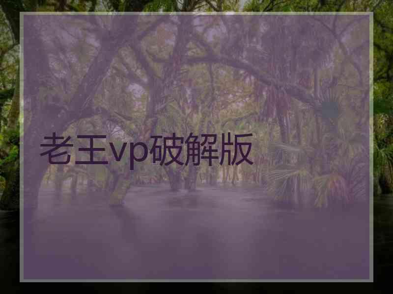 老王vp破解版