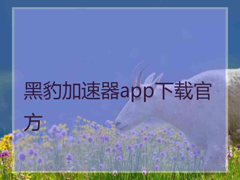 黑豹加速器app下载官方