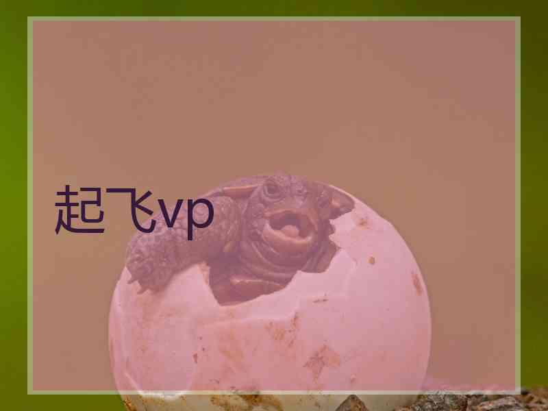 起飞vp