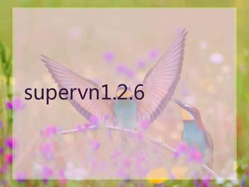 supervn1.2.6