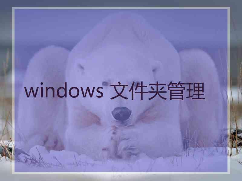 windows 文件夹管理