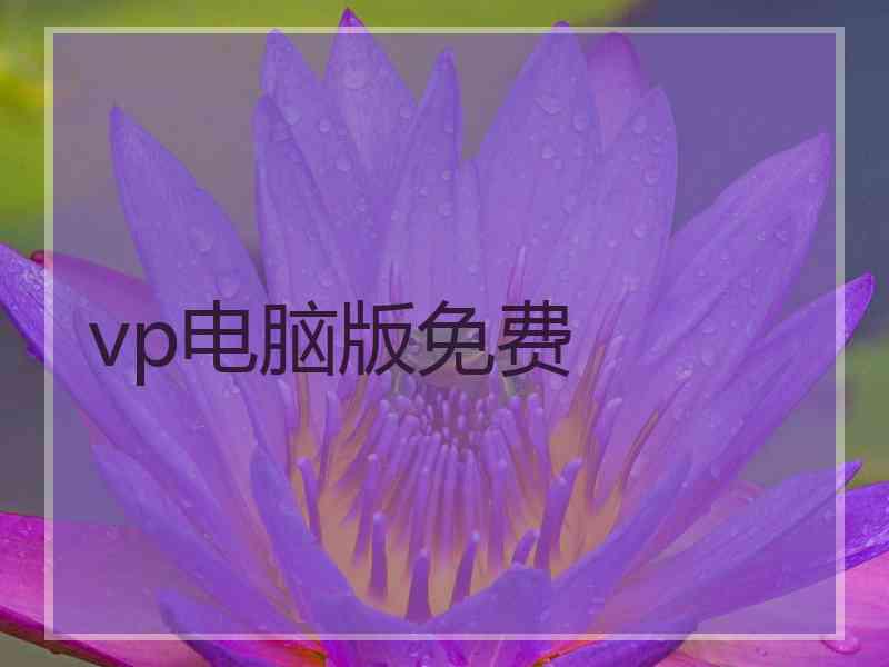 vp电脑版免费