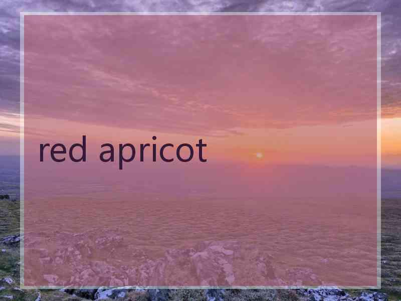 red apricot