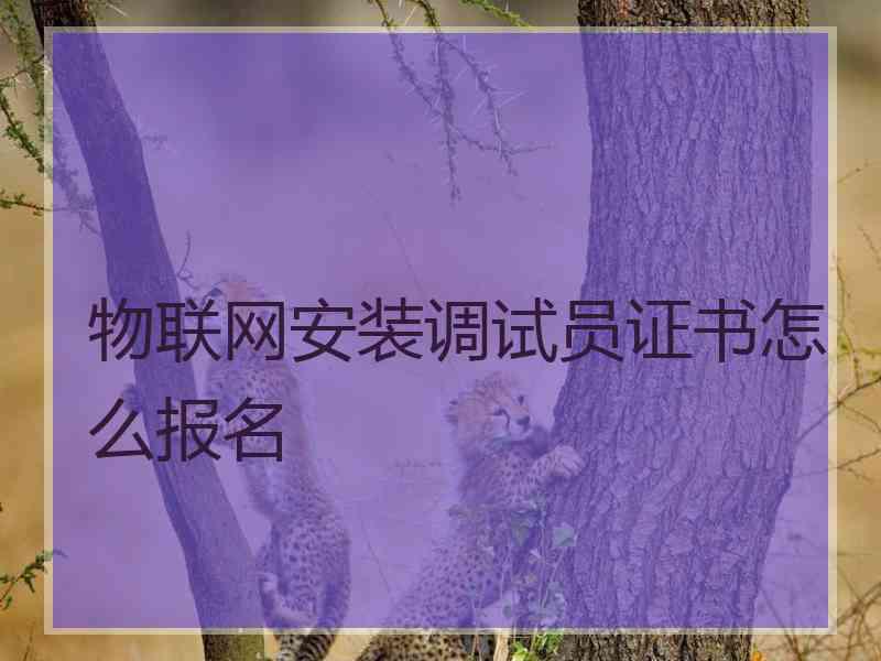 物联网安装调试员证书怎么报名