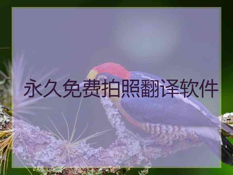 永久免费拍照翻译软件