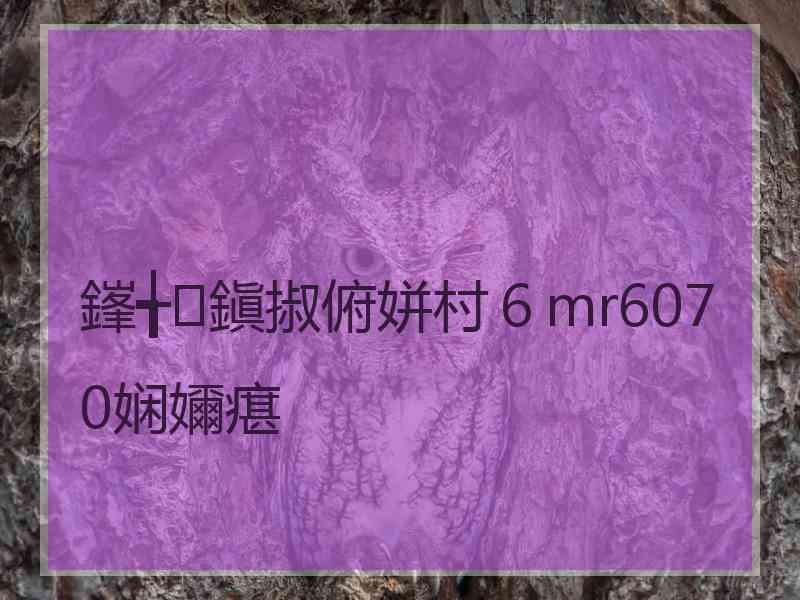 鎽╅鎭掓俯姘村６mr6070娴嬭瘎