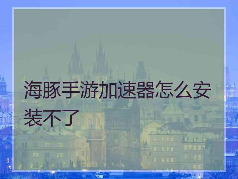 海豚手游加速器怎么安装不了