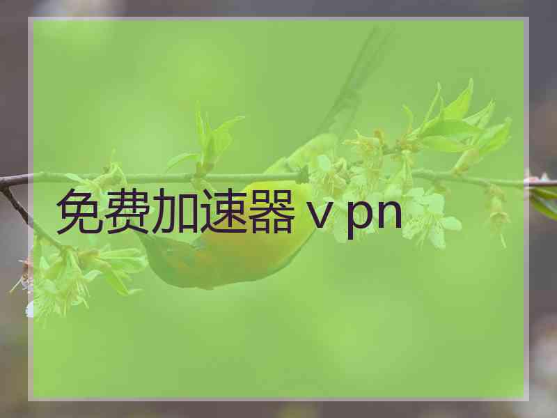 免费加速器ⅴpn