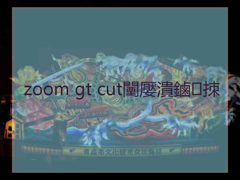 zoom gt cut闉嬮潰鏀拺