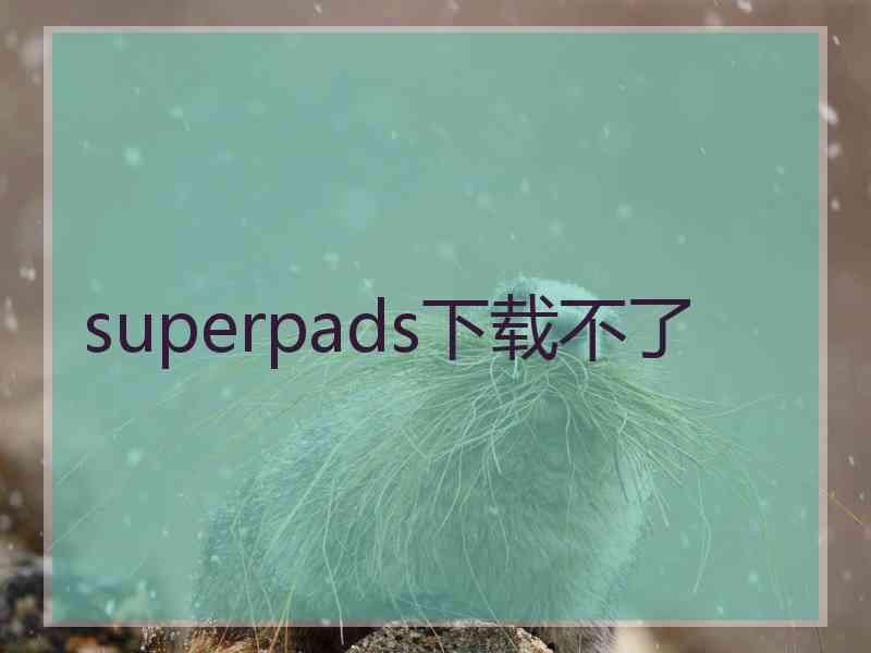 superpads下载不了