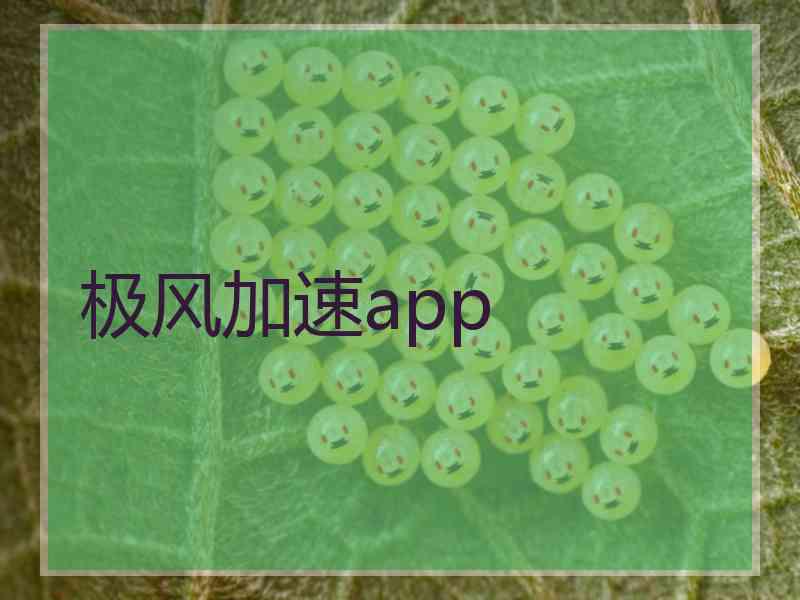 极风加速app